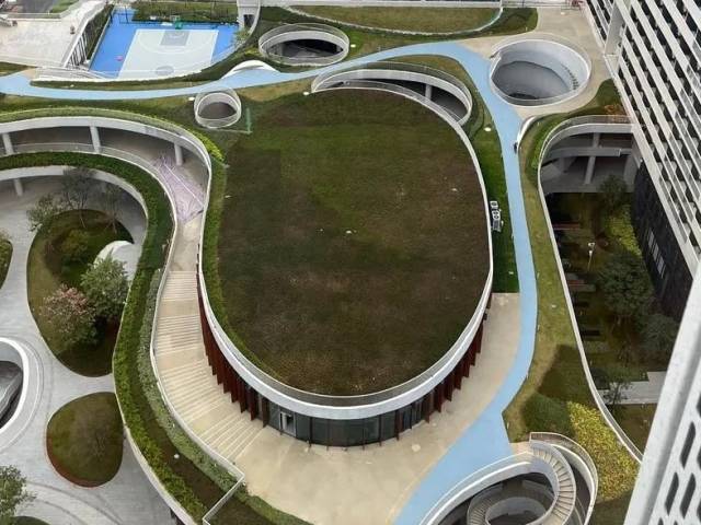 新华社：新平台 新通道 新衔接——深圳推进粤港澳大湾区建设一线观察