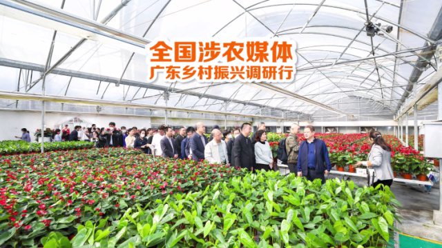 视频丨全国涉农媒体“粤”览县域高质量发展