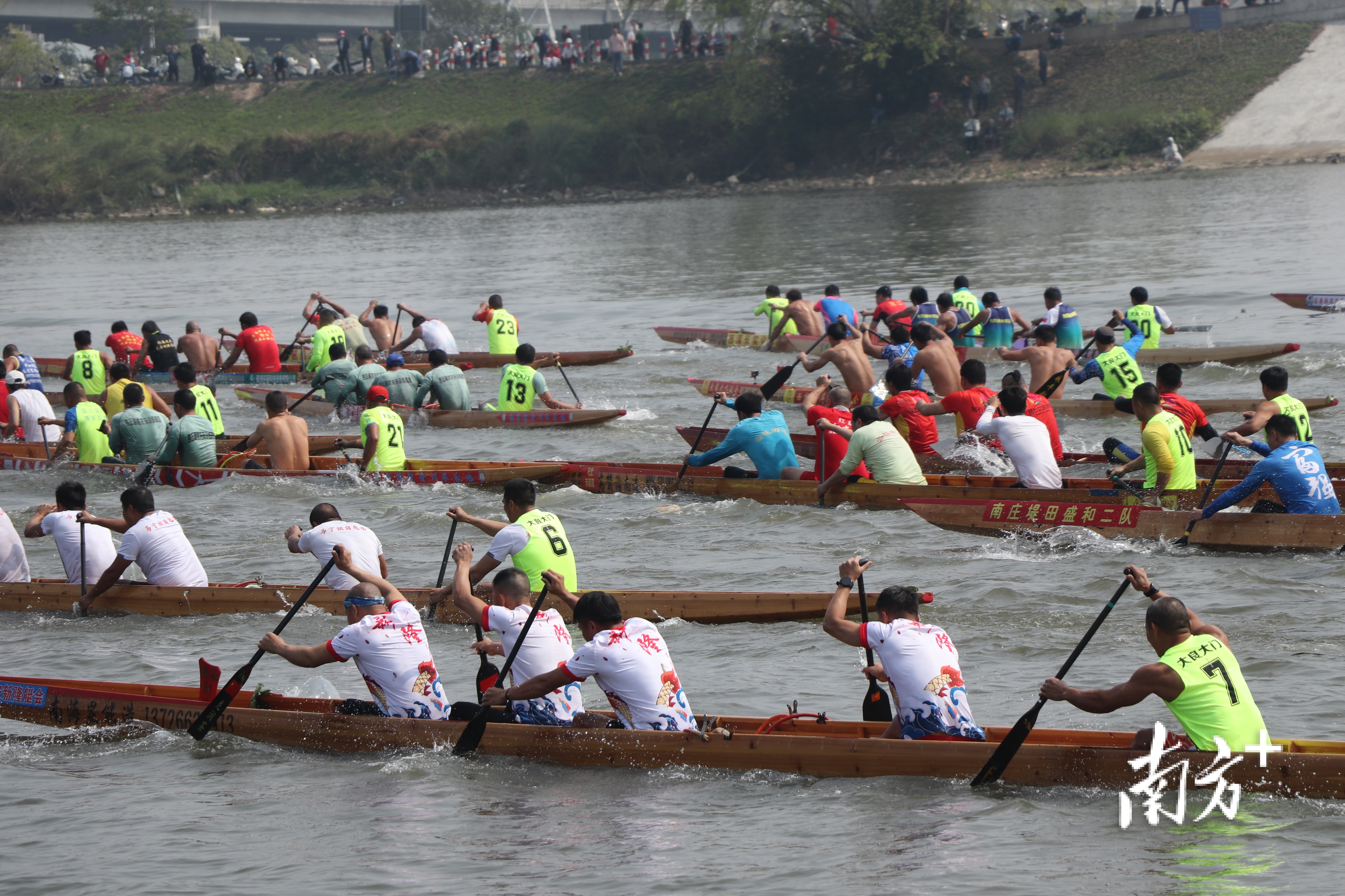 鸣笛一响，龙舟竞发。白桦 摄