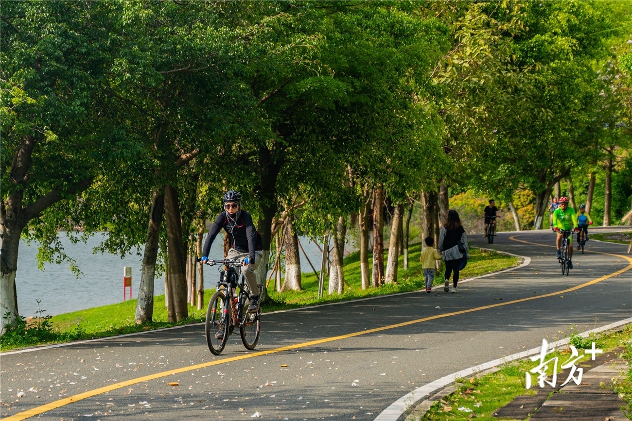周末不少市民游客选择到松山湖绿道骑行，感受春风和煦，鸟语花香。黄政正摄。