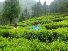 肇庆下帅：落实“百千万工程”，促进民族地区高质量发展