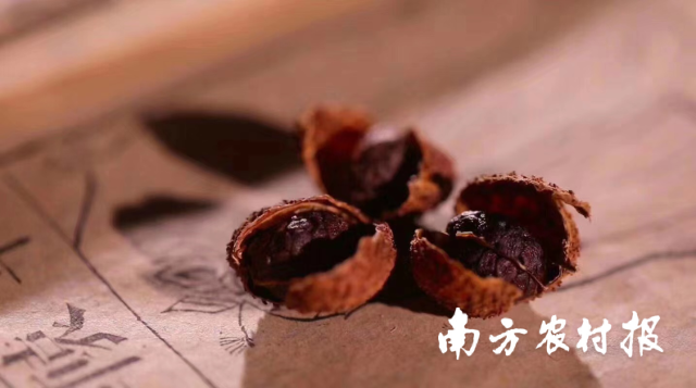 用舌尖奔赴一场春日山海之约！“漠阳味道”，顺德见！