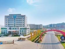 一个目标、两地情系、三轮帮扶！演绎丰顺海珠山海情