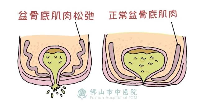 高雨婧绘制
