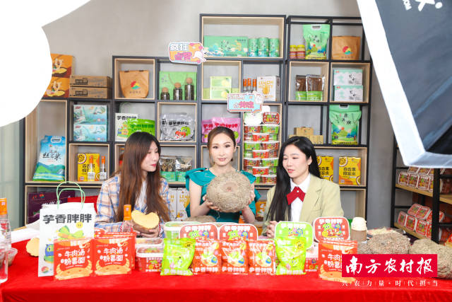 首届中国佛冈（国际）魔芋节上，2021年感动中国十大人物陈贝儿（中）推介佛冈魔芋