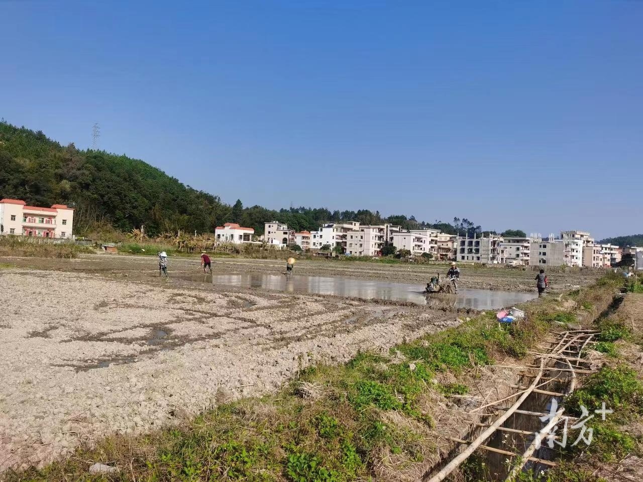 陆河县螺溪镇：春耕备耕正当时