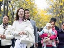 视频｜南华春早，风铃花开