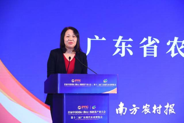 广东省农业农村厅二级巡视员罗惠兰