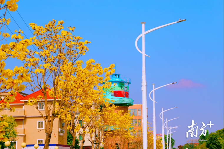 藏在金黄花海中的水塔。 藏在金黄花海中的水塔。