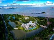 南沙街：勇担主战之责，塑造新核之窗｜高质量发展朝“南”看