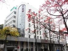 中大附属口腔医院党委书记陈望南：引领区域口腔健康事业高质量发展