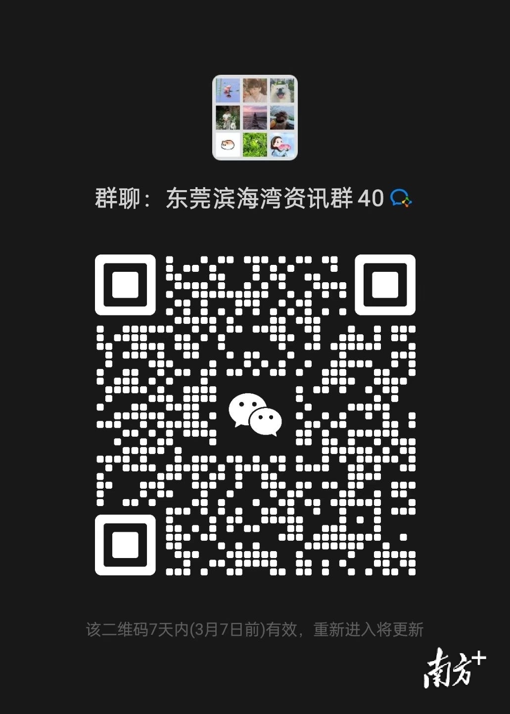 1  南方+ 郭文君 拍摄