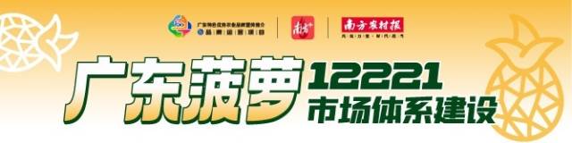 做强做大区域公用品牌！2023广东菠萝“12221”市场体系建设要点来了