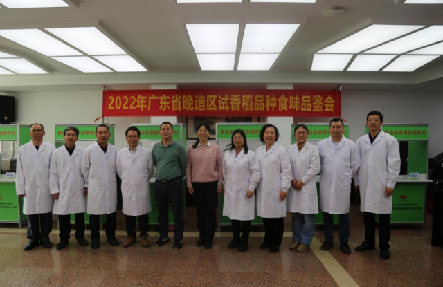 广东省晚造区试香稻品种食味品鉴会专家组成员