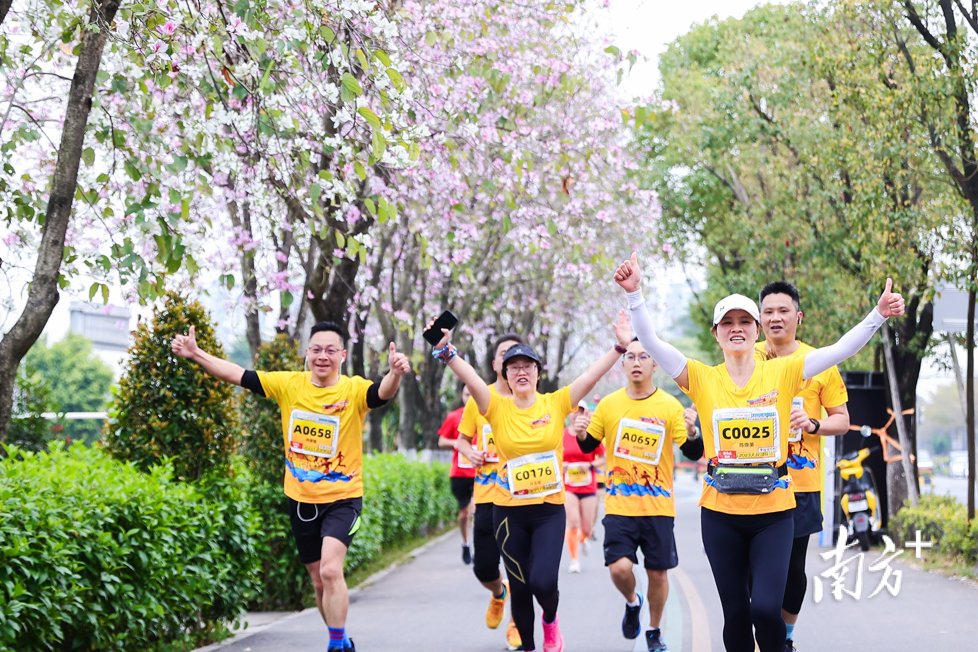 2月26日，超2000名跑者齐聚顺峰山公园，尽情体验着奔跑的激情。 主办方供图