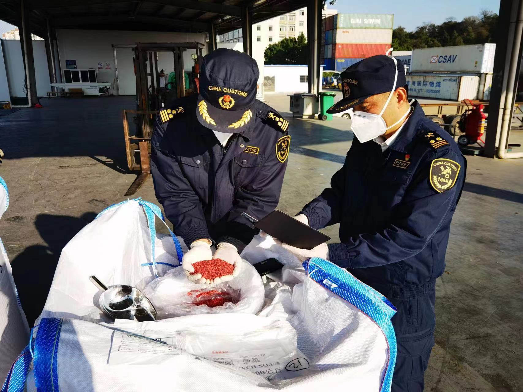 海关工作人员对进口菠菜种子开展查验。