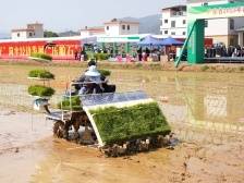 广东：从春耕生产抓起，奋力夺取全年粮食生产丰收