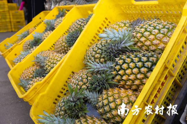 受訪者供圖