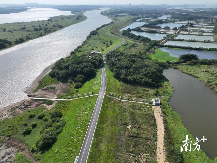 西南街道以河长制为引领,大力推进青岐瑞岗围碧道建设。