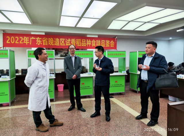 王丰研究员（左一）向来访嘉宾介绍广东去年晚造区试香稻新优品种食味品鉴会的情况。