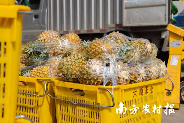 受訪者供圖
