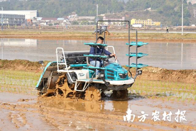 河源市东源县柳城镇下坝村已开展春耕