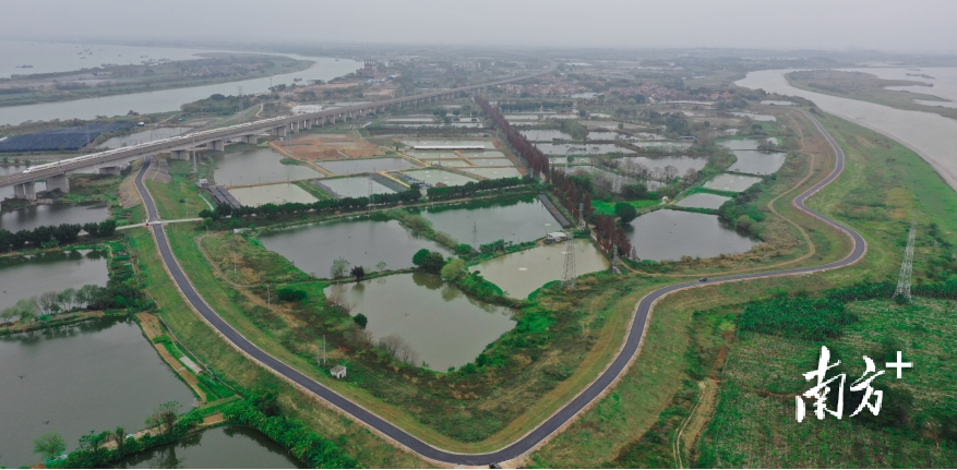 西南街道青岐村东临北江,西临青岐涌和西江,构三面环水之势,汇集三江源流,水资源优质而丰富。