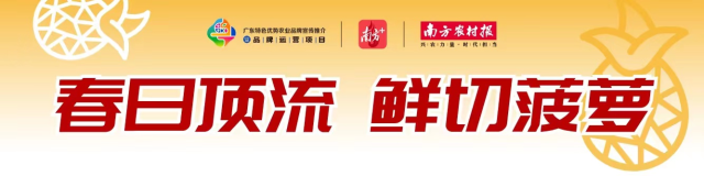 解锁鲜切菠萝的N种神仙吃法！网友：不止“亿”点心动