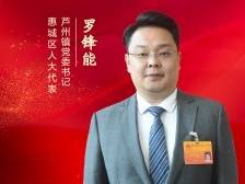 惠城区人大代表罗锋能：绘就乡村全面振兴新画卷