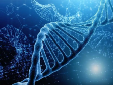 深圳细胞和基因产业发力“四链”融合