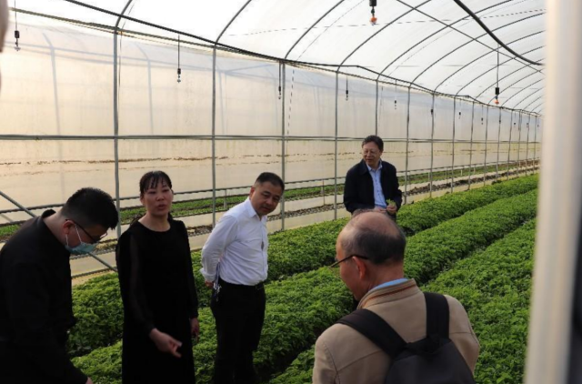 代表们参观大棚水肥一体化管理现场