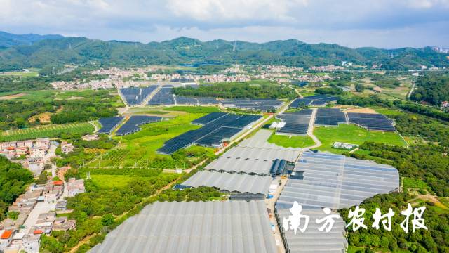 广东将加大对农村生活污水治理、农村道路交通、乡村碧道、通信设施、农村电网改造、乡村农贸市场升级改造等项目的金融支持。程麒 摄