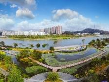 快闪｜这样的燕罗，这样的湾区芯城，你喜欢吗？