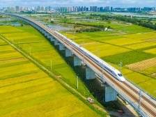 漠阳时评 | “开门”办交通，彰显阳江高质量发展新作为