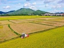 守好“米袋子”、念好 “山海经”，广东要让农民就地过上现代文明生活