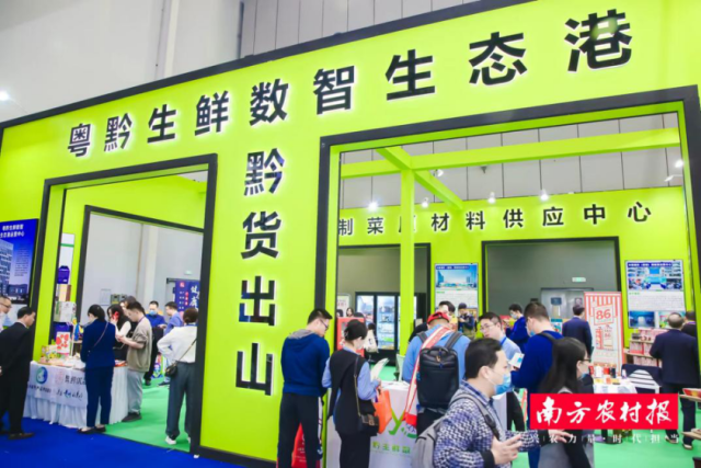 南方农村报 李思敏 拍摄