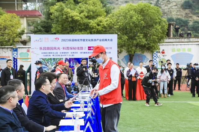 现场认养果树。