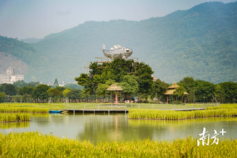 大地艺术节。西樵宣办供图 大地艺术节。西樵宣办供图