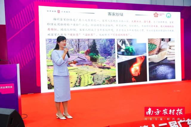 梅州市农林科学院茶叶研究所所长黄海英推介嘉应茶·客家炒绿