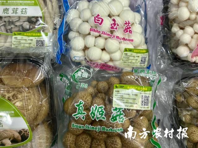 韶关食用菌。