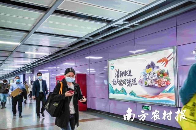 南方农村报 杨玲 拍摄