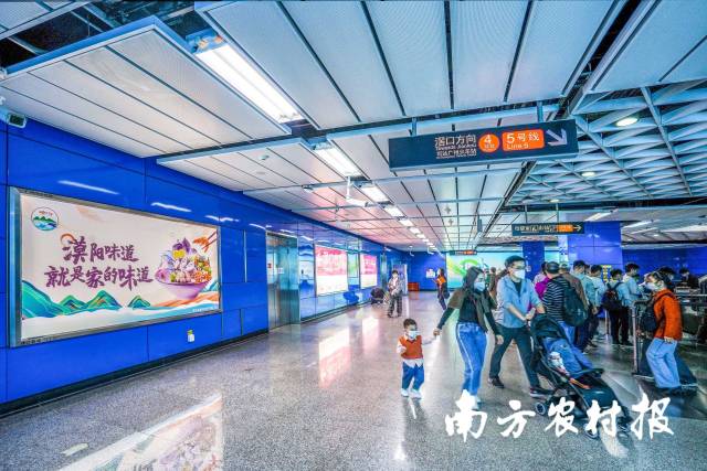 南方农村报 杨玲 拍摄