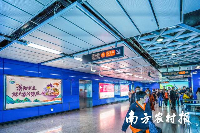 南方农村报 杨玲 拍摄