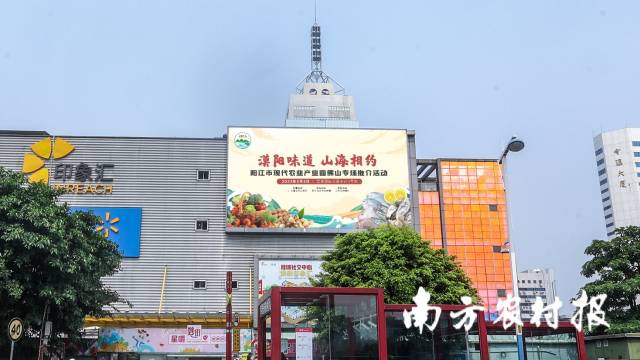 南方农村报 杨玲 拍摄