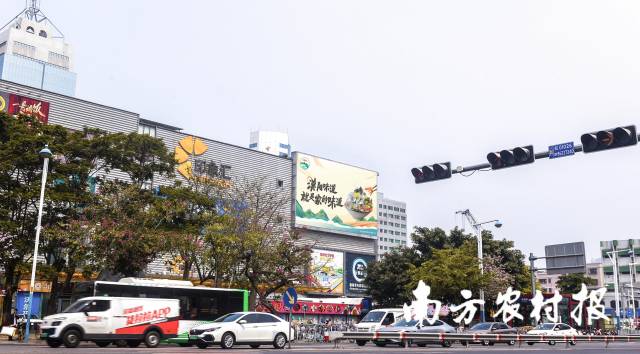 南方农村报 杨玲 拍摄