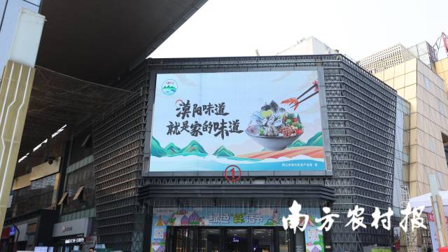 南方农村报 杨玲 拍摄