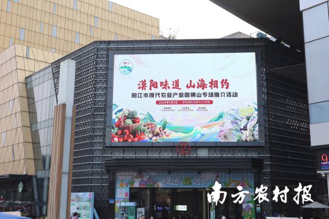 南方农村报 杨玲 拍摄