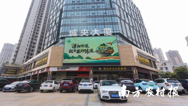 南方农村报 杨玲 拍摄