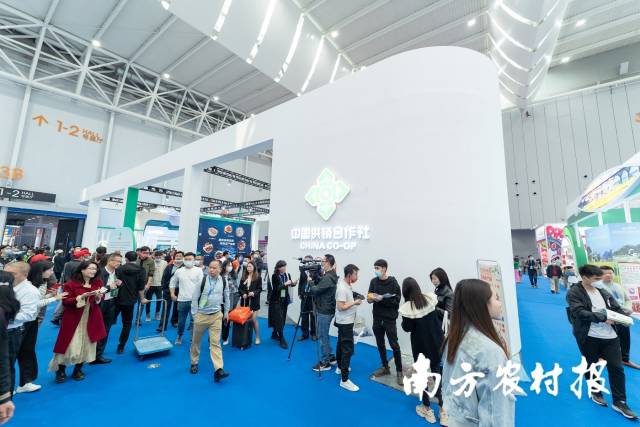 广东供销农产品股份有限公司首秀第十二届广东现代农业博览会