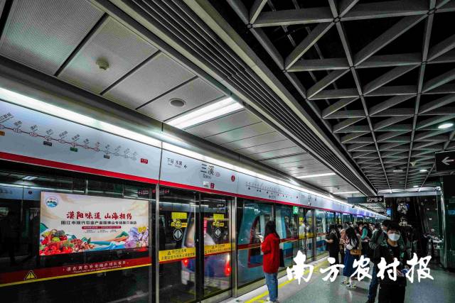 南方农村报 杨玲 拍摄